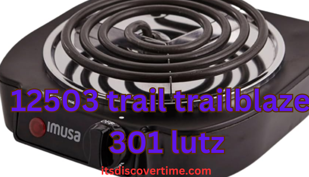 12503 trail trailblazer 301 lutz