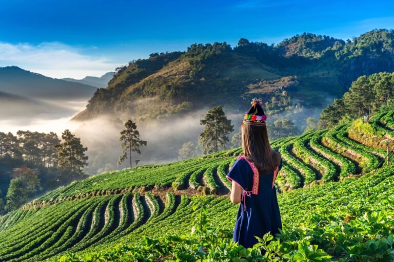 Kerala Tourism